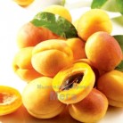 Купить  Масло абрикоса натуральное, 10 грамм  в  Мыльная фабрика 