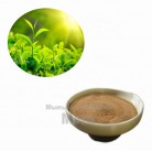Купить  Пудра зеленого чая, 1 кг  в  Мыльная фабрика 