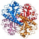 Купить  SOD (Superoxide dismutase) – лучший антиоксидант, 2 грамма  в  Мыльная фабрика 