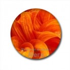 Купить  Краситель сухой Оранжевый, 5 гр  в  Мыльная фабрика 