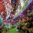 Купить  Сухая гранулированная отдушка Floral Fantasy, 1 кг  в  Мыльная фабрика 