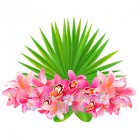 Купить  Отдушка Tropic Flowers, 1 литр  в  Мыльная фабрика 
