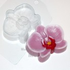 Купить  Форма пластиковая Орхидея  в  Мыльная фабрика 