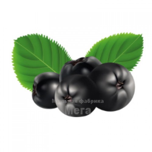 Купить  Aronia berry extract – профилактика купероза, 10 мл  в  Мыльная фабрика 