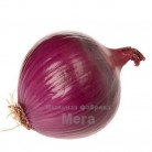 Купить  Red onion extract ( Ред онион экстракт ), 100 мл  в  Мыльная фабрика 