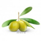 Купить  Силикон оливковый (растительный), 25 мл  в  Мыльная фабрика 